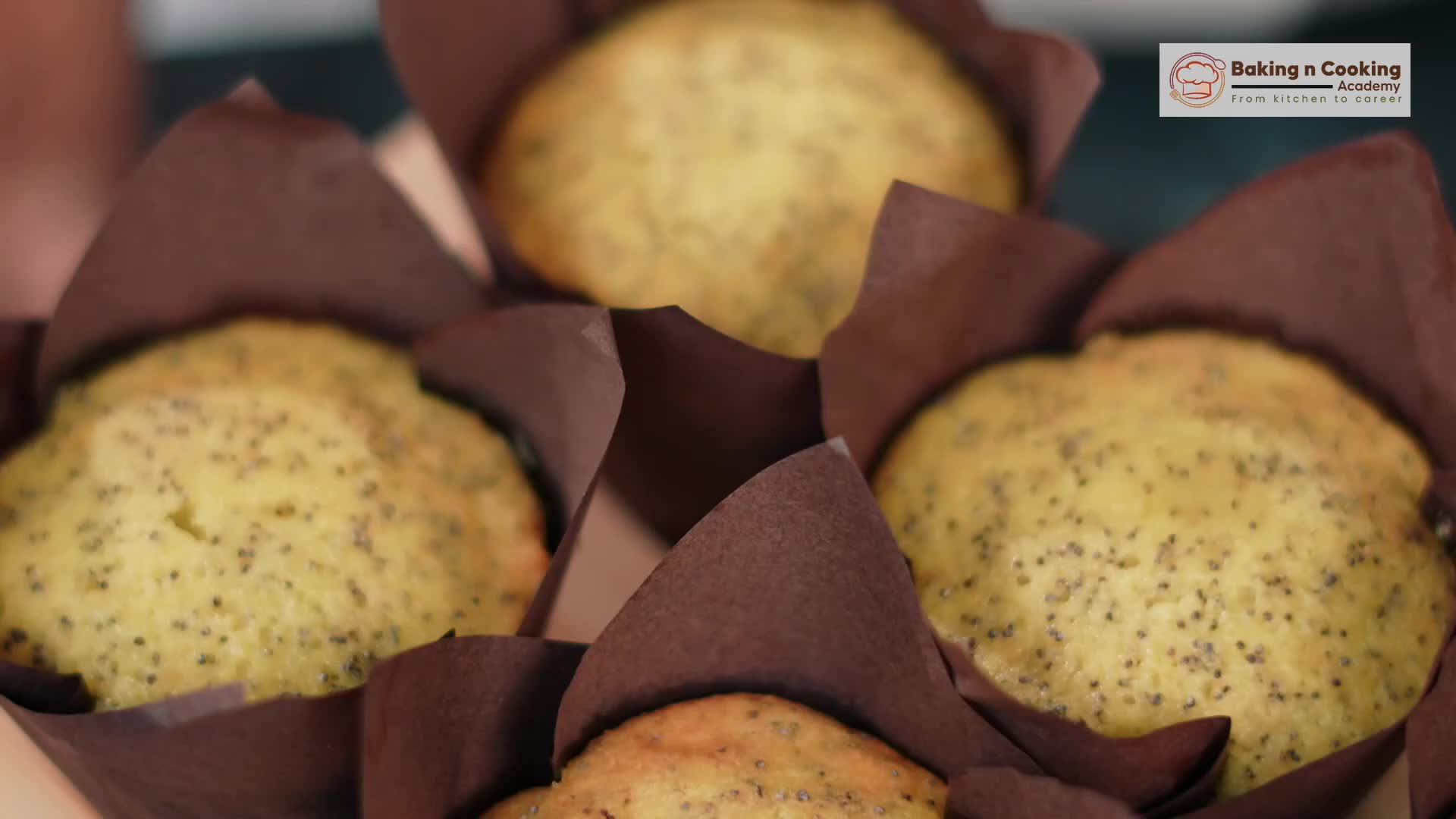 LEMON POPY SEED MUFFIN